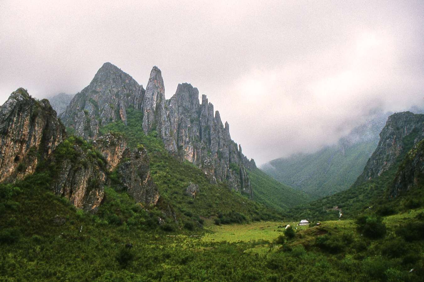 Где живет большая панда