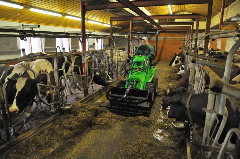 Уход за коровой: от А, до Я