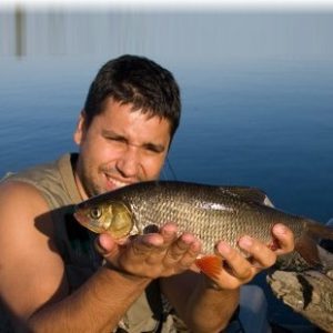 Ловля язя на спиннинг — приманки, места и методы ловли