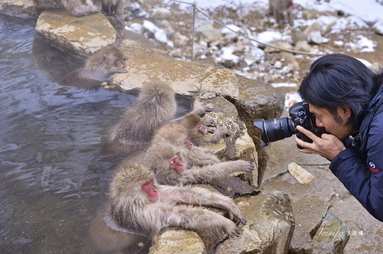 парк Джигокудани Джигокудани