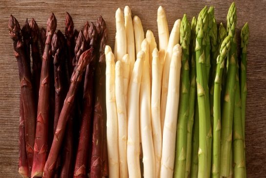 Крымские эндемичные растения и животные