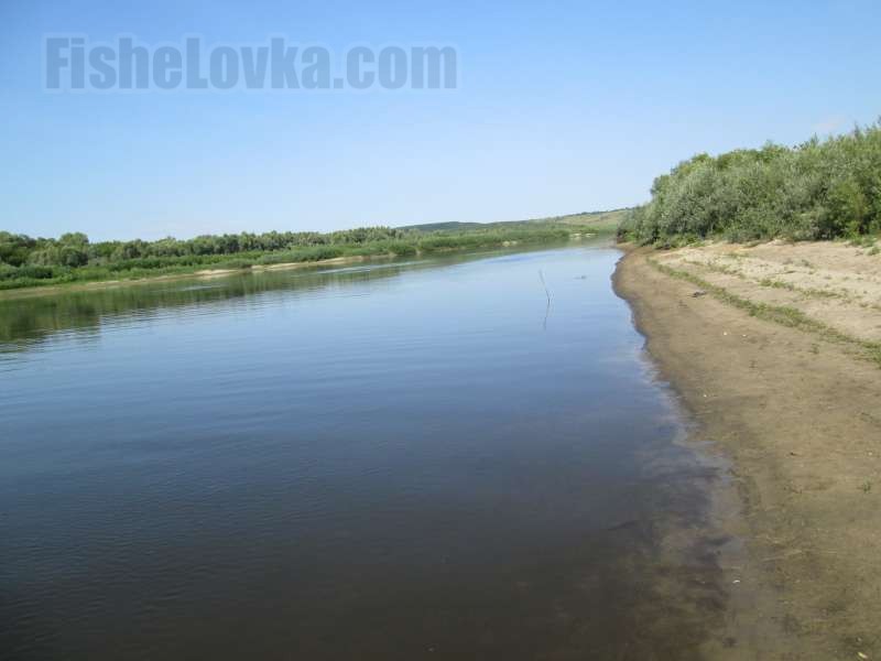 Перспективное место для ловли ерша.