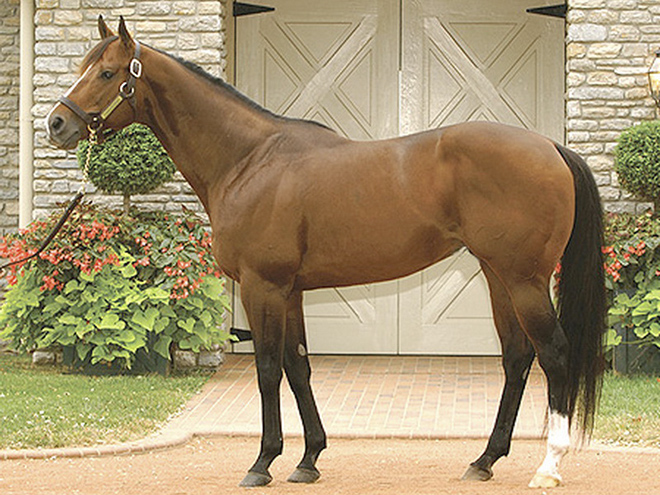 Окрас светлых подтипов не равномерен и раличен