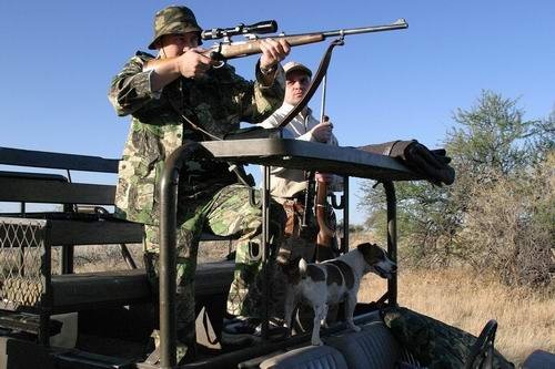 Охота на оленей Охота на оленей