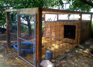 В вольере площадью полтора метра будет достаточно места для трех особей