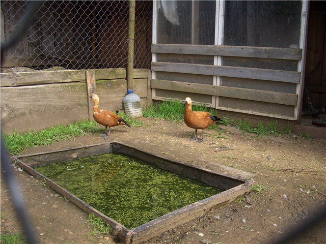 Питьевая вода всегда должна быть свежей и чистой
