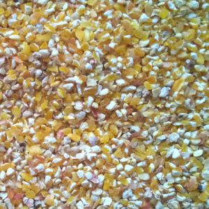 Кукуруза (дробленое зерно)