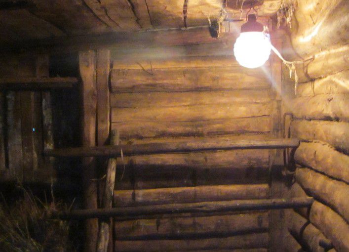 Лампа в курятнике