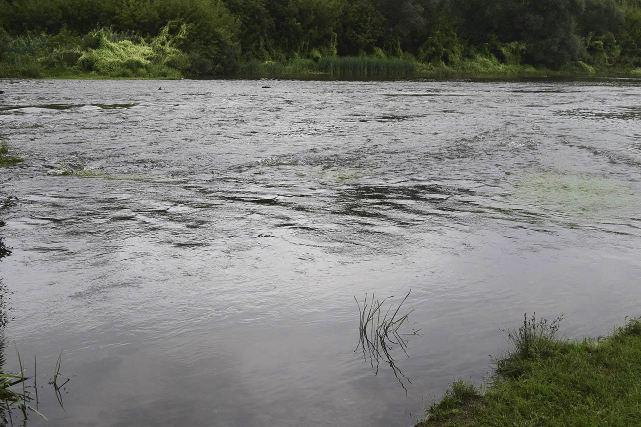 Ловля голавля на спиннинг фото 1