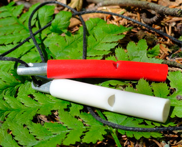 Как манить рябчика манком