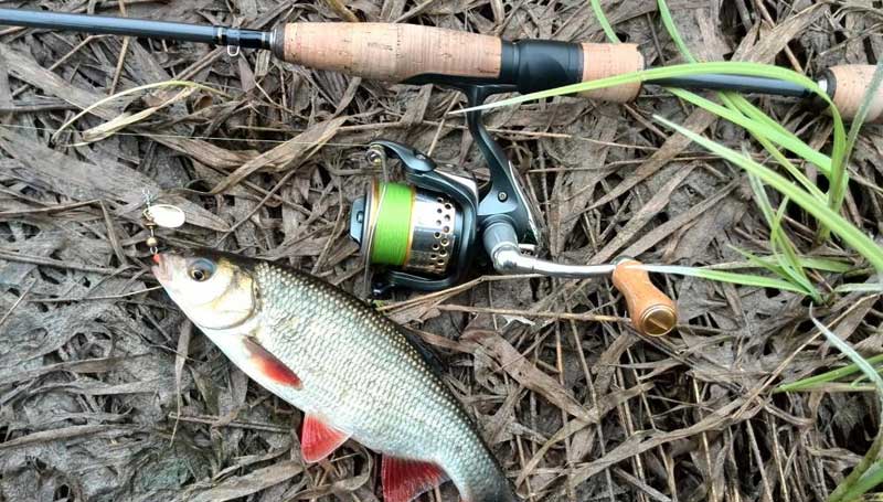 спиннинг для язя