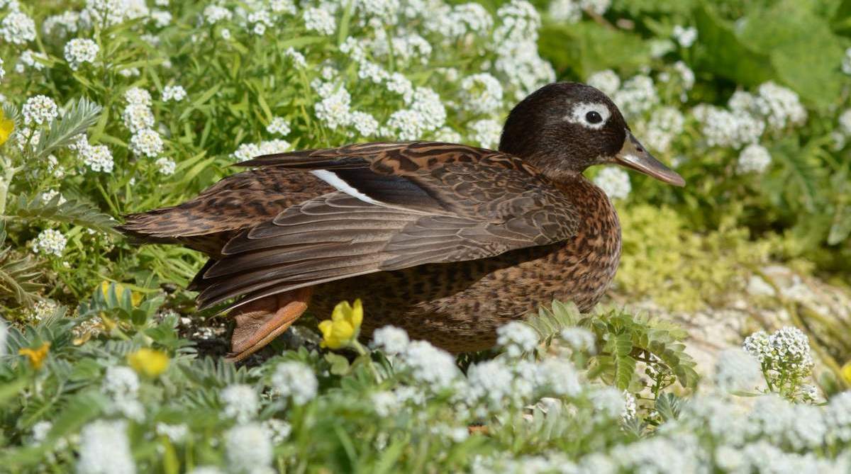 Цвет морской волны