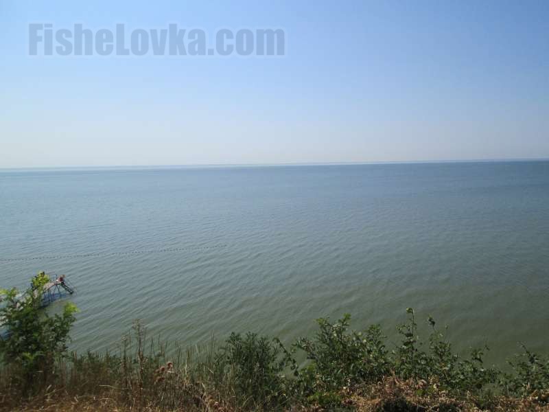 Берег моря - место рыбалки на морскую щуку.