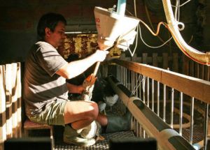 Подкормка для фуа-гра