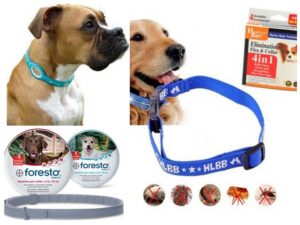 Ошейник от блох для собак Ошейник от блох для собак