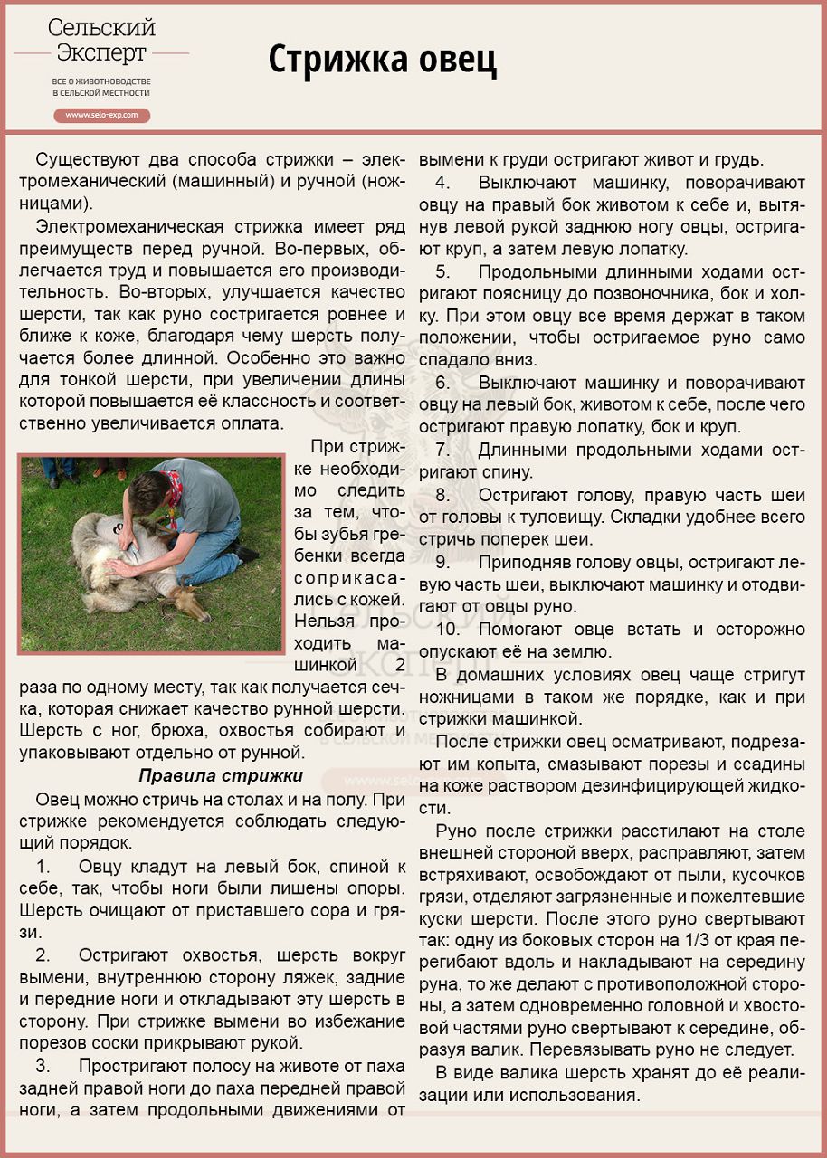 Стрижка овец