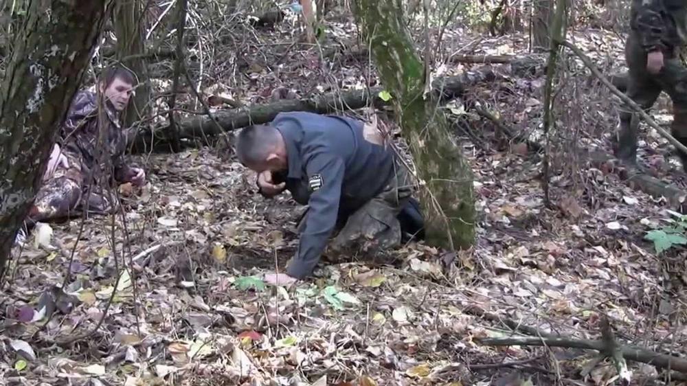 Охота на барсука - увлекательный квест Охота на барсука - увлекательный квест