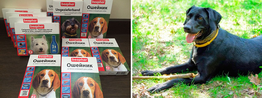 Ошейник от блох и клещей Beaphar для собак - отзывы