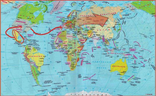 жук разбросан