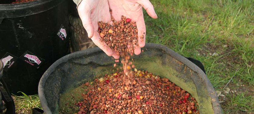 Ловля карпа в августе: на что лучше ловить и какую удочку брать