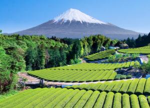 Япония: природа, императоры, достопримечательности, население и географическое положение страны