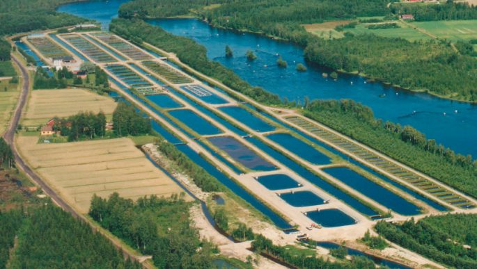 Где водится форель в России: радужная, обычная, крымская