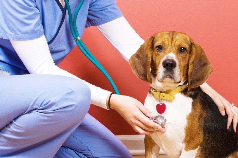 как обеспечить профилактику