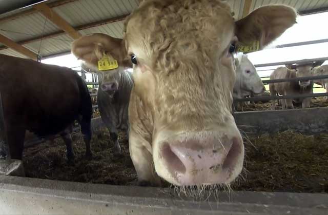 Развивались необходимые качества 