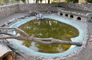 Водоем для нутрий