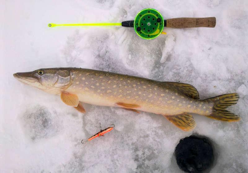 Щука, балансир и удилище
