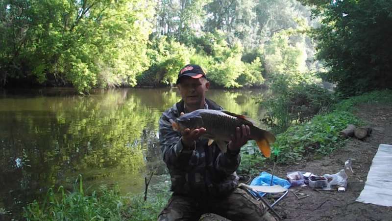 Пойманный карп