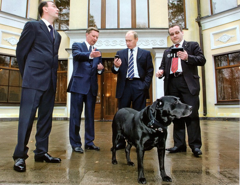 Лабрадор путин