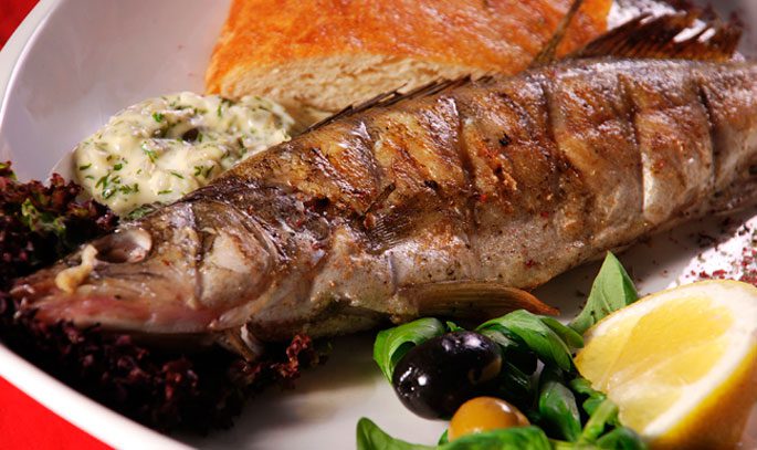 Берш: окрас рыбы, отличия от окуня и судака, техника ловли на спиннинг, удочкой, донкой, поведенческие черты и места обитания