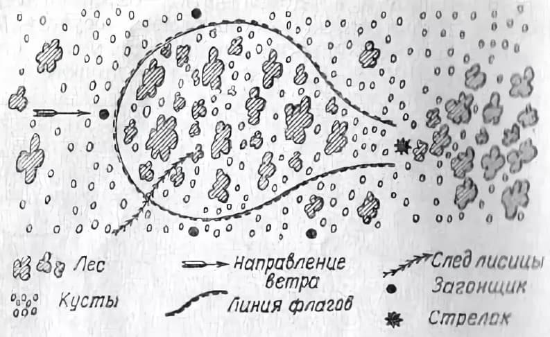 Как избавиться от лисы, которая ворует кур: как защитить птиц и отвадить хищника