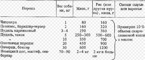 Советы и рецепты опытных кинологов: каши для собак