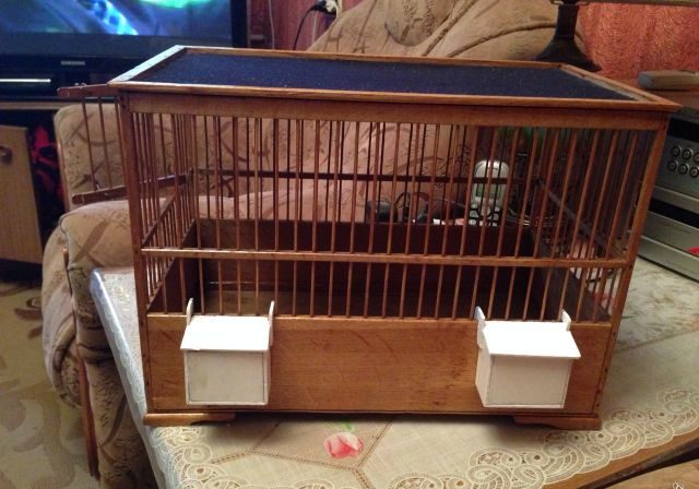 О птице жаворонке: где живет и зимует, чем питается, польза для человека, интересные факты