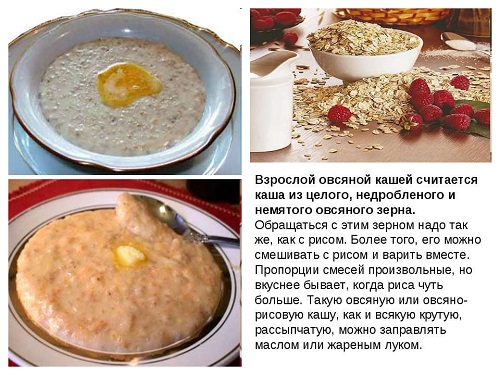 Советы и рецепты опытных кинологов: каши для собак