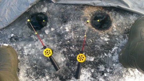 Удочки в лунке