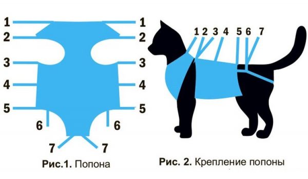 Попона для кошки