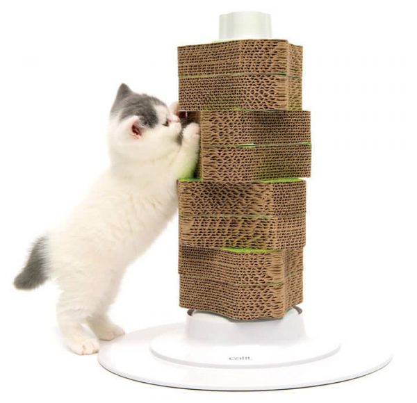 Привлекаем внимание котёнка к когтеточке