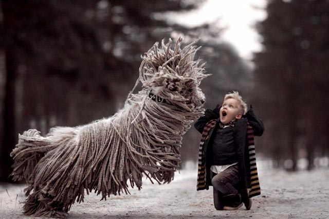 Комондор и дети