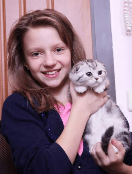 Девочка держит скоттиш-фолда