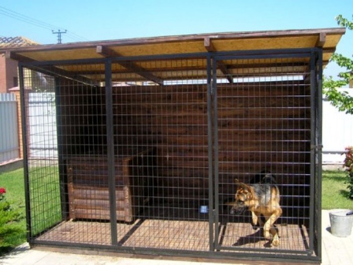 Hund i et privat hus Bor utendørs