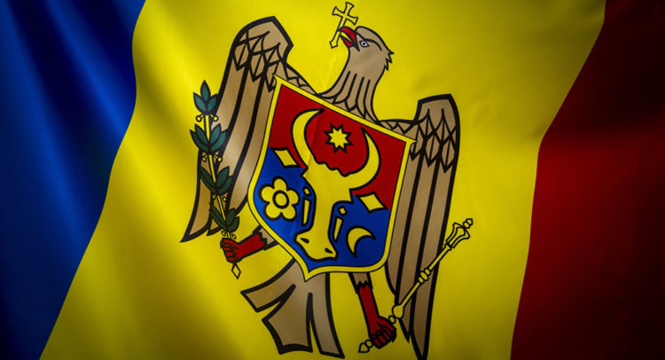 Вымершее древнее животное дикий тур — предок современных коров и быков