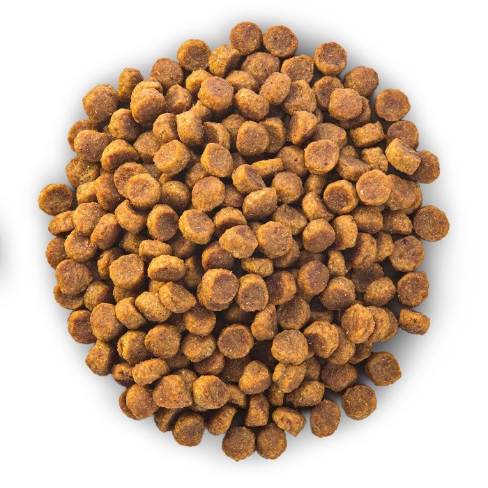 Правильное питание Животные склонны к аллергии