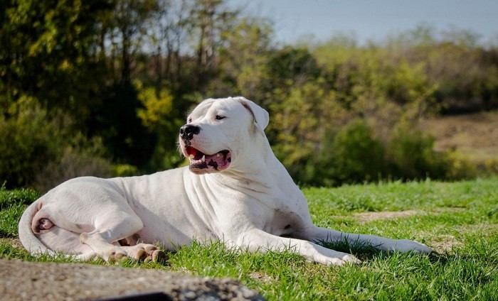 Правильное содержание Качественный уход