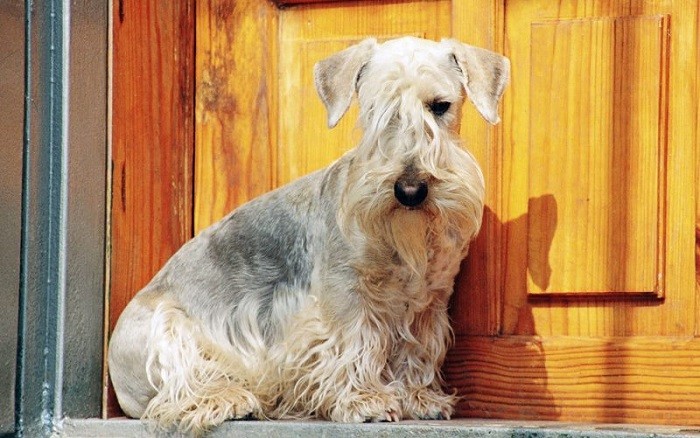 Рацион питания Кормление