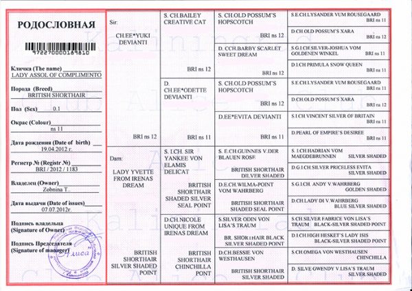 Родословная кошки