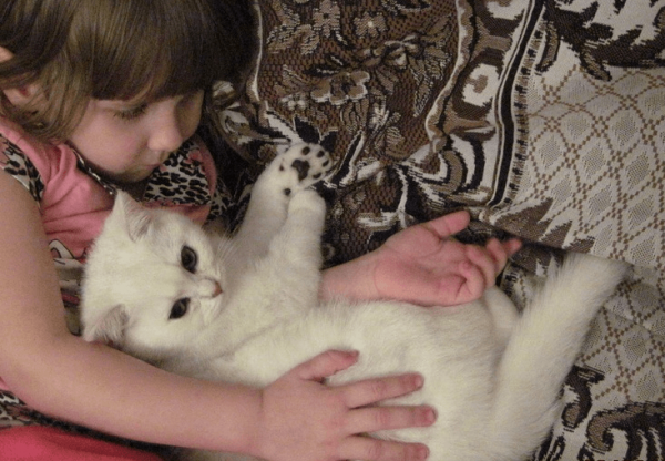 Шиншилла и малыш