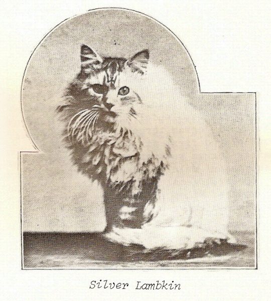 Серебряный Ламкин